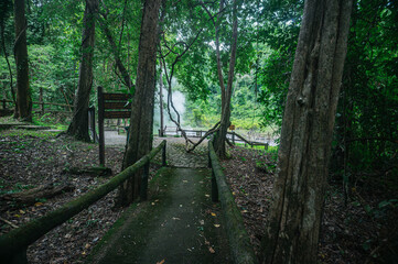 Fototapeta premium Serene Pathway through Lush Greenery near Hot Springs in Chiang Mai