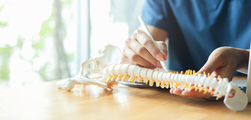 close up special chiropractor man check about symptom of patient or medical article with spine...