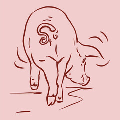 back of a pig on pink vector for illustration card decoration