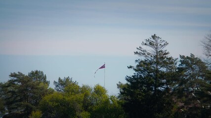 Static wide shot of Norwegian flag waving in the wind among green trees in Raet National Park on a clear day