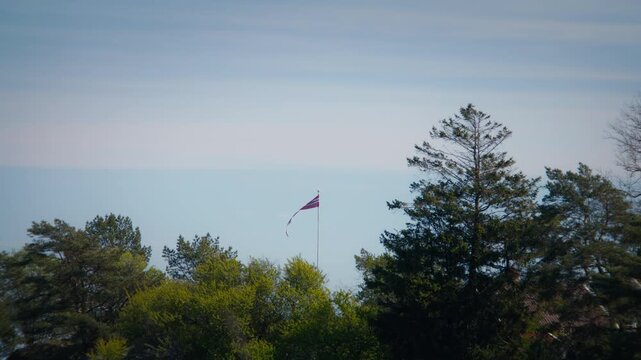 Static wide shot of Norwegian flag waving in the wind among green trees in Raet National Park on a clear day