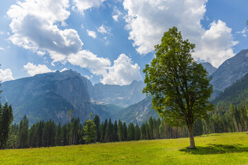 Hiking in Valbona - Cortina d'Ampezzo - Italy