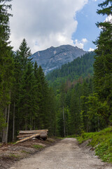 Hiking in Valbona - Cortina d'Ampezzo - Italy