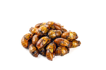 Golden Cicada Pupae from Henan China - Traditional Asian Food Delicacy on White Background