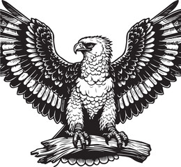Harpy Eagle Vector in black and White