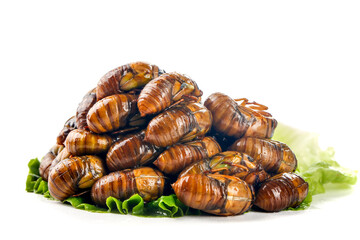 Edible Insect Larvae Pupae Pile with Lettuce Garnish Alternative Protein Food