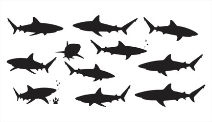 Shark silhouette vector set, swimming shark illustration, ocean predator fish, marine animal graphic clipart