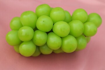 Fresh Shine Muscat or Vitis grapes close up, isolated on pink background.