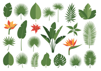 Collection of exotic tropical plants and flowers with lush green leaves