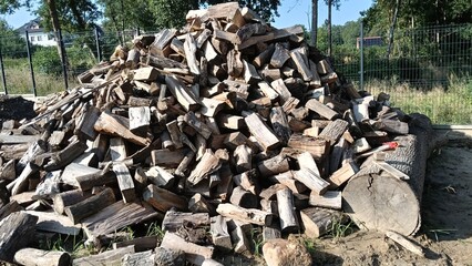 Firewood prepared for winter. 