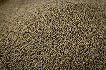 Organic Millet Grains Close-up Texture - Natural Highland Cereals and Healthy Food Background