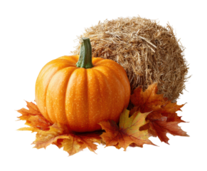 Harvest festival pumpkin display with straw and autumn leaves isolated on transparent background