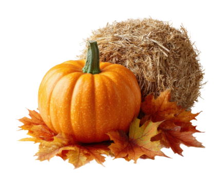 Harvest festival pumpkin display with straw and autumn leaves isolated on transparent background