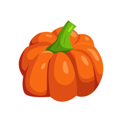 Orange Pumpkin isolated on white. Autumn seasonal food. Vector flat illustration.