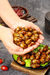 Hand Holding Roasted Silkworm Pupae Traditional Asian Insect Food Protein Snack