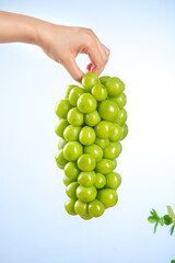 Hand Holding Fresh Green Grapes Bunch on White Background - Healthy Organic Fruit Concept