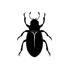 Silhouette of a black beetle on transparent background