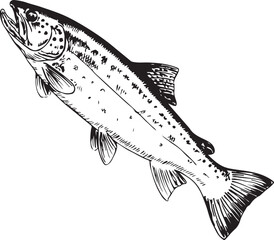 Vintage Fish engraving outline vector art illustration design, Fish silhouette, hand drawn, line art fish design