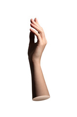 Hand in elegant gesture. Graceful fingers in delicate posture with expressive movement,