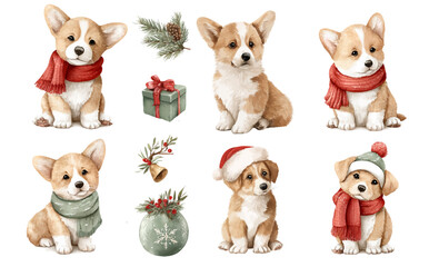 Christmas and New Year watercolor dog clipart set for cards and kids projects. Cute corgi puppies in scarves and winter hats. Collection of Vector illustrations. Perfect for invitation, card, poster