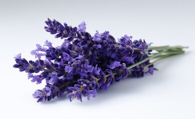 Fototapeta premium A cluster of vibrant purple lavender flowers with green stems, lying on a white surface and casting a soft shadow, simple floral arrangement