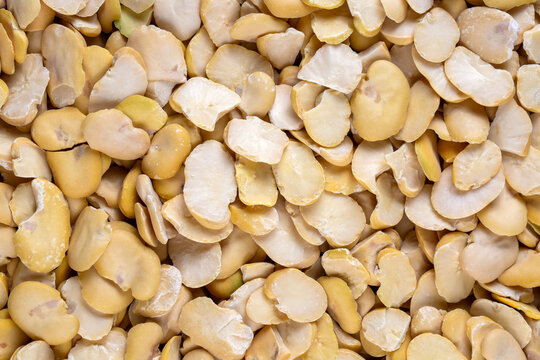 Dried broad beans on the white background