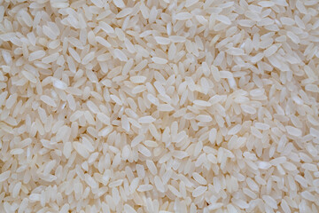 Raw white rice on a white background