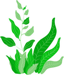 vector e green leaf