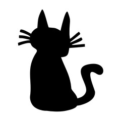 black cat on white background