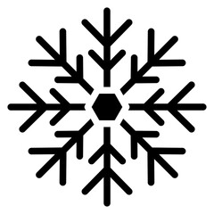 Fototapeta premium Vector Design Snowflake Icon Style
