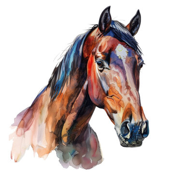 Vibrant watercolor depiction of a horse showcasing intricate details and vivid colors