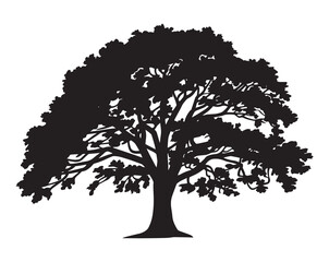Silhouette of a large deciduous tree with full foliage and spreading branches against a white background