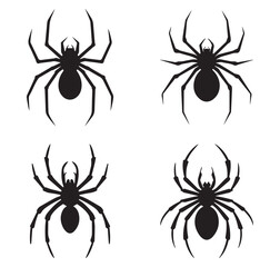 Four silhouettes of spiders with detailed legs against a white background