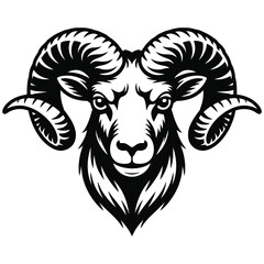 vector illustration of a ram