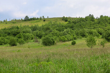 A wide view of a green hill covered in dense vegetation and small trees, sloping down to a field with tall grass. A natural landscape under a blue sky with light clouds, conveying a sense of calm and  © Олег Струс