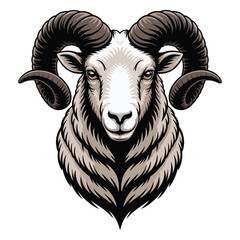 black sheep ram