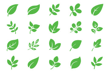 Green Leaves Solid Icon Set