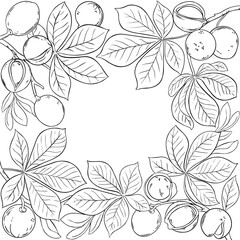 Mongongo Branch with Nuts and Leaves Outline Frame. Organic natural nutritional healthy food ingredient, vegetarian diet product. Vector isolated for design or decoration.