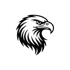 Obraz premium eagle head vector illustration