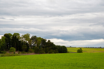 Alta Murgia, panorama del parco con prato , cielo azzurro, nuvole, casolari. Orizzonte delle verdi colline in  Puglia, natura Italia.