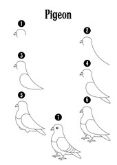 How to draw step by step pigeon drawing for kids