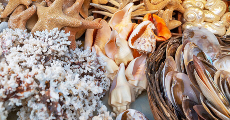 a vibrant market stall adorned with a variety of marine treasures, such as starfish, seashells, and natural sponges, indicating a coastal setting during a bustling summer day