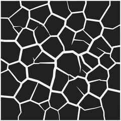 Obraz premium A black and white image of a crack in the ground with rocks and debris.