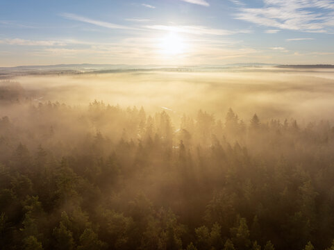 Aerial sunrise view of foggy autumn forest in Upper Palatine Forest Bavaria