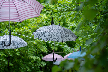 Colorful Umbrellas Hanging Outdoors among Green Trees