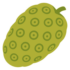 noni fruit nature plant flat color vector illustration template design
