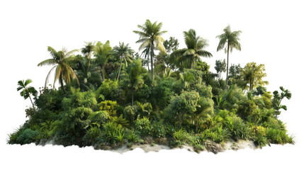 Lush green tropical island with palm trees and diverse vegetation isolated on transparent background