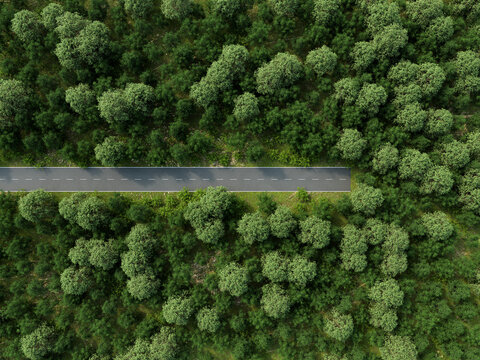 Aerial 3d render of dead end road in forest symbolizing nature protection