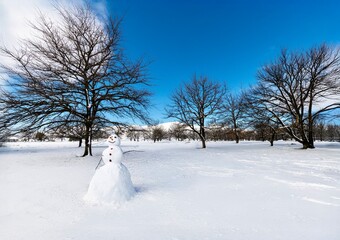 Snow man in the trees in Africa