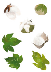 配置のアレンジが自由自在の綿花のイラスト素材